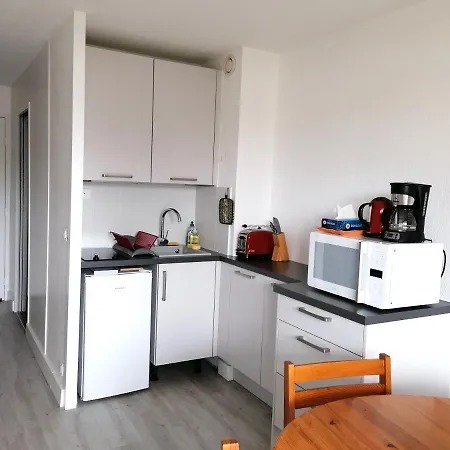 Studio 4P Avec Grande Terrasse A 5Min De La Plage Apartment *